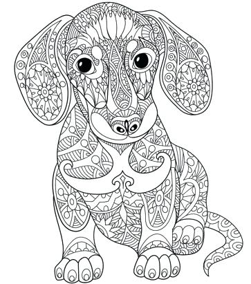 Mandala Adult Coloring Book (Adult Coloring Books - Stress Relief and Self Care) Paperback look