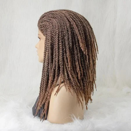 12 Inches 13x2 Reggae Twisted Medium Braids Lace Front Wig Pre-plucked