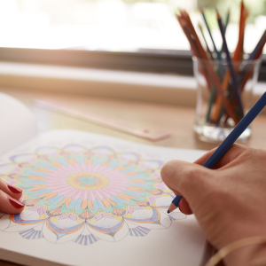 Stress Relief Adult Coloring Book Volume II