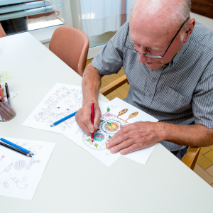 Stress Relief Adult Coloring Book Volume II