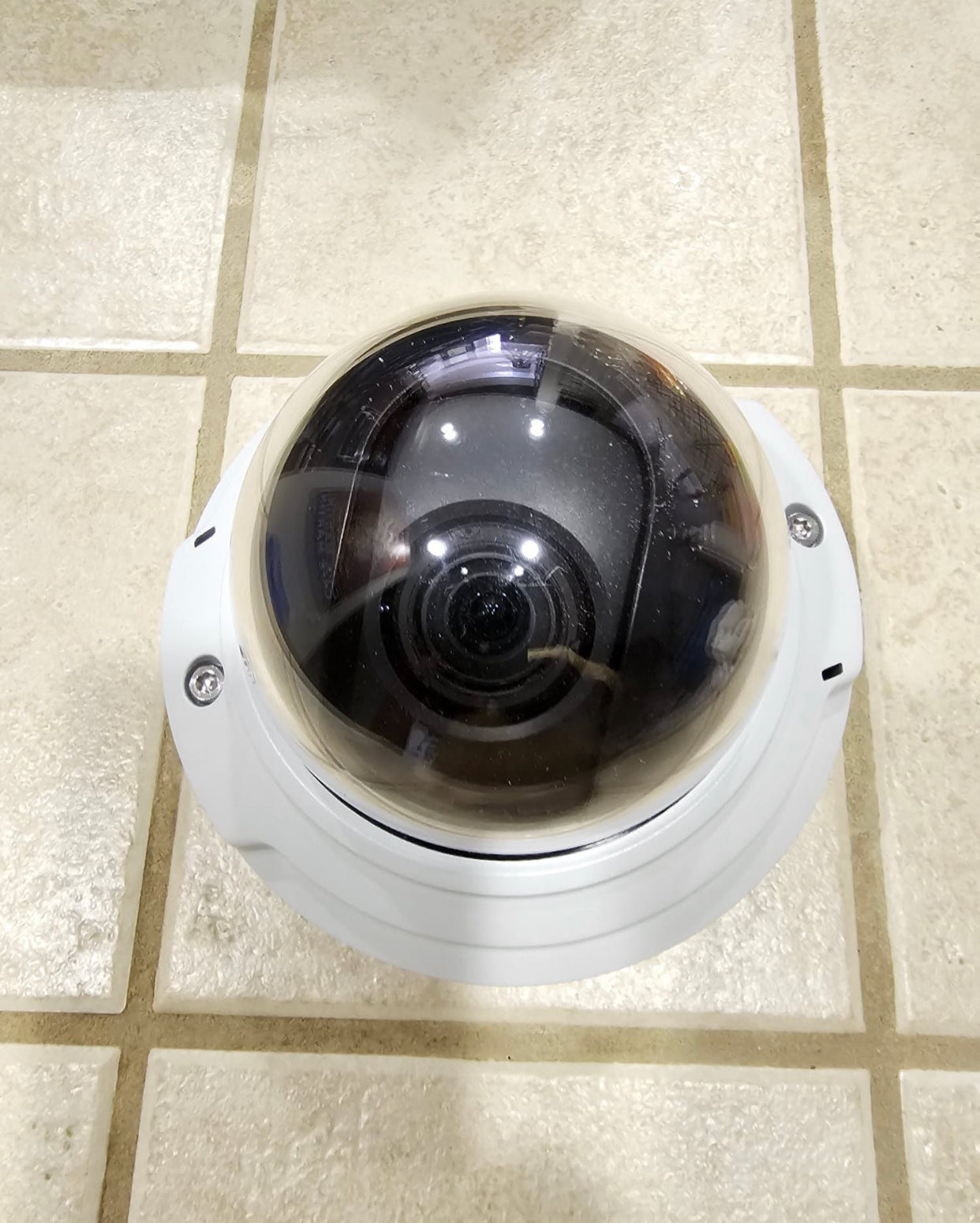 Axis Network Dome Surveillance Camera