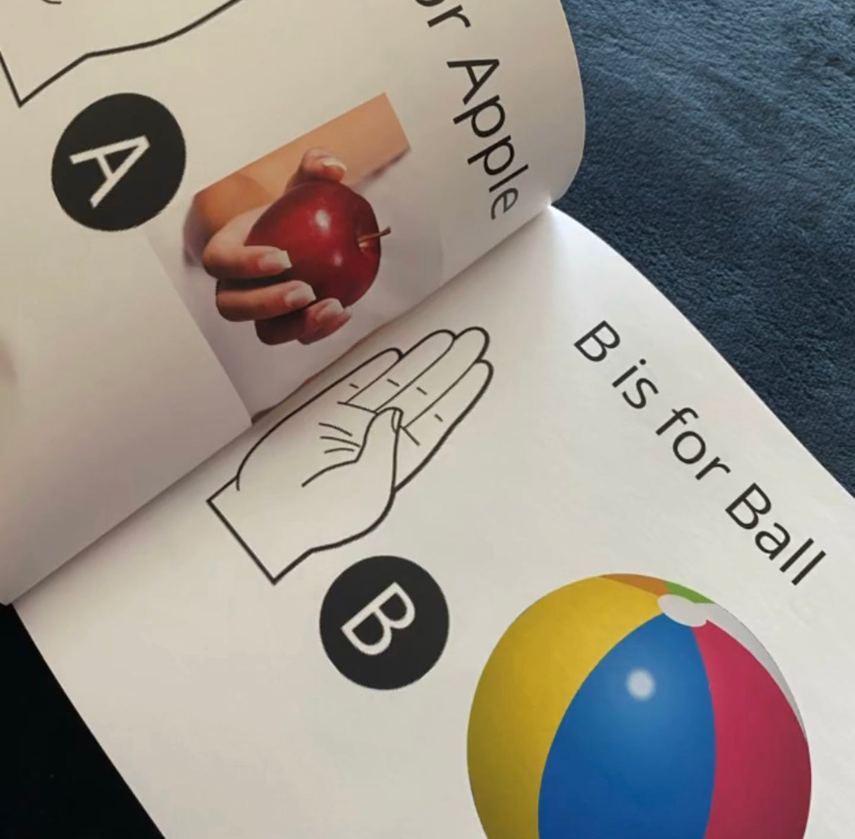 Learn American Sign Language for Children©️