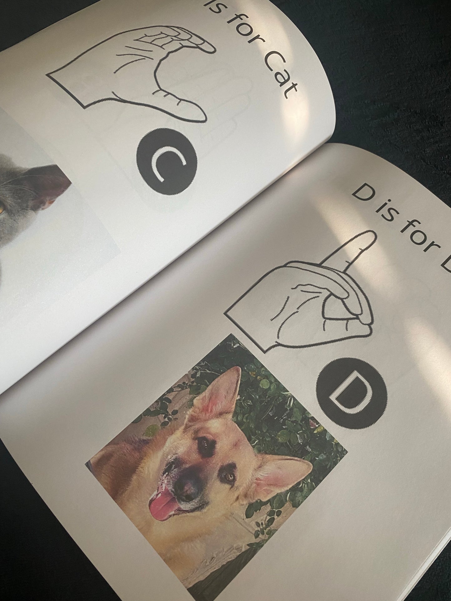 Learn American Sign Language for Children©️