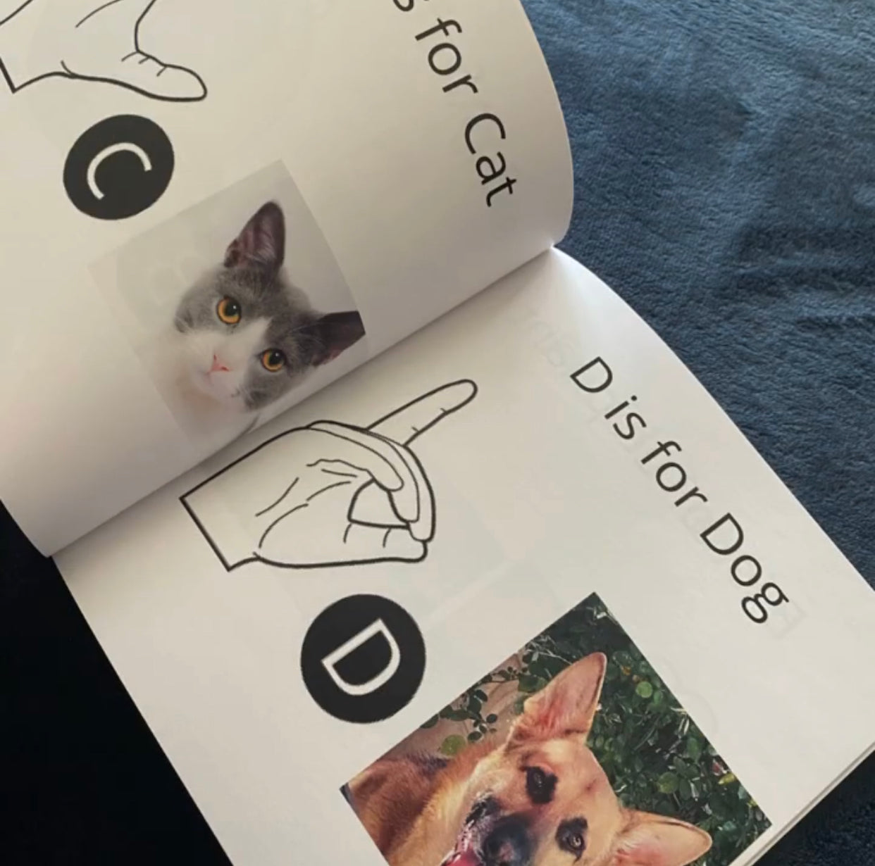 Learn American Sign Language for Children©️