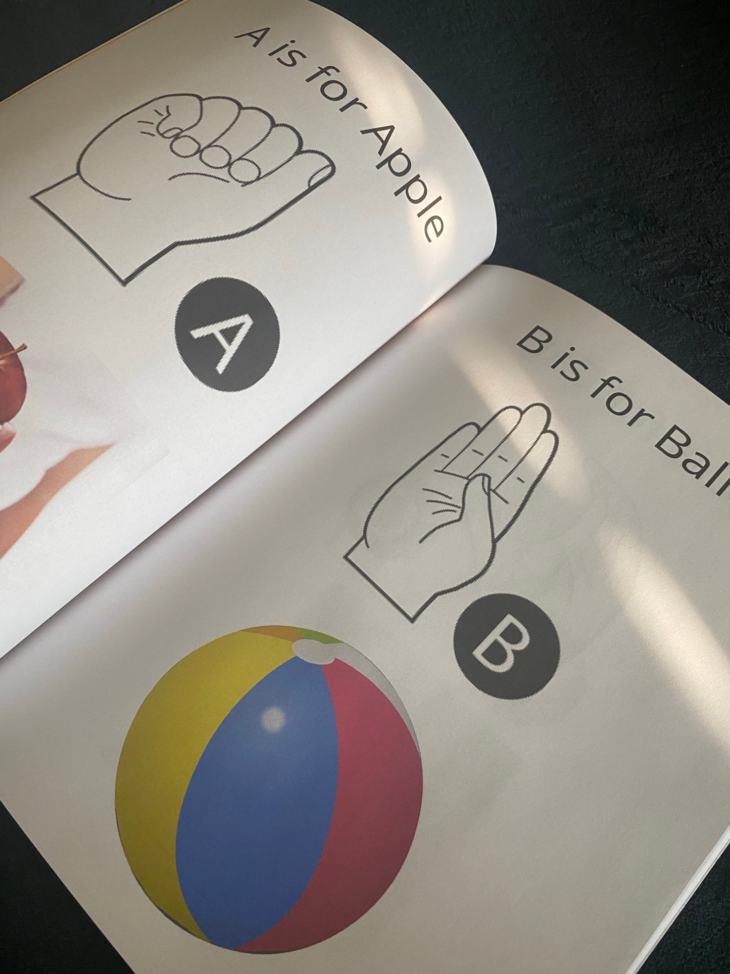 Learn American Sign Language for Children©️