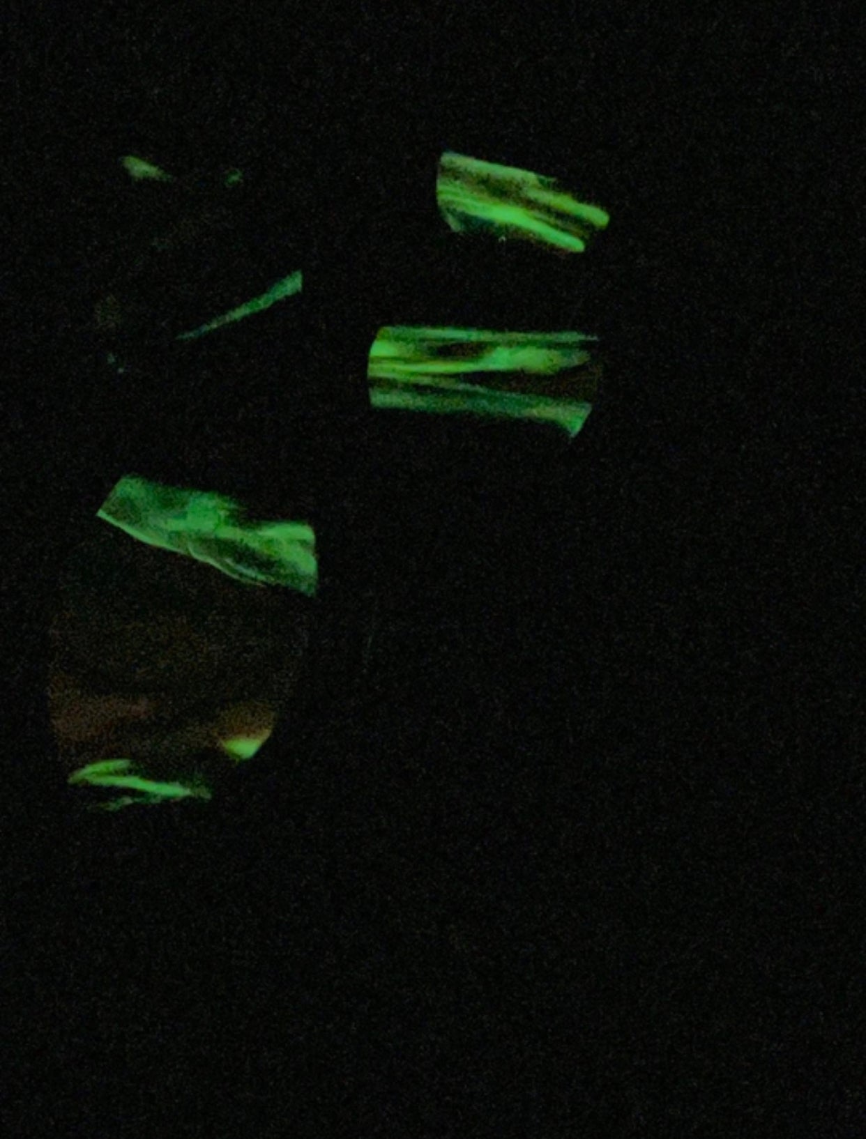 GLOW IN THE DARK Handmade Dangle Garden Greenery Earrings