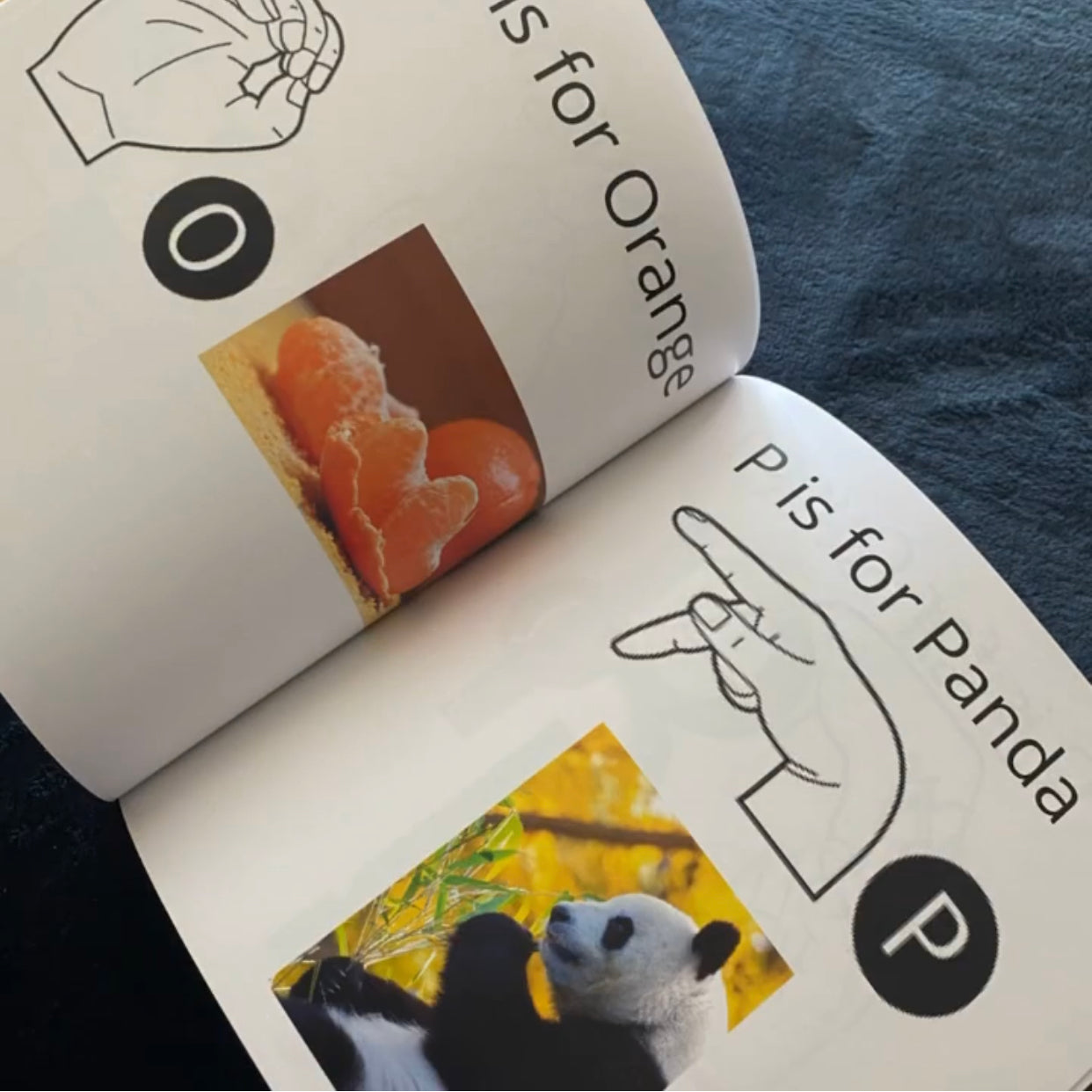 Learn American Sign Language for Children©️