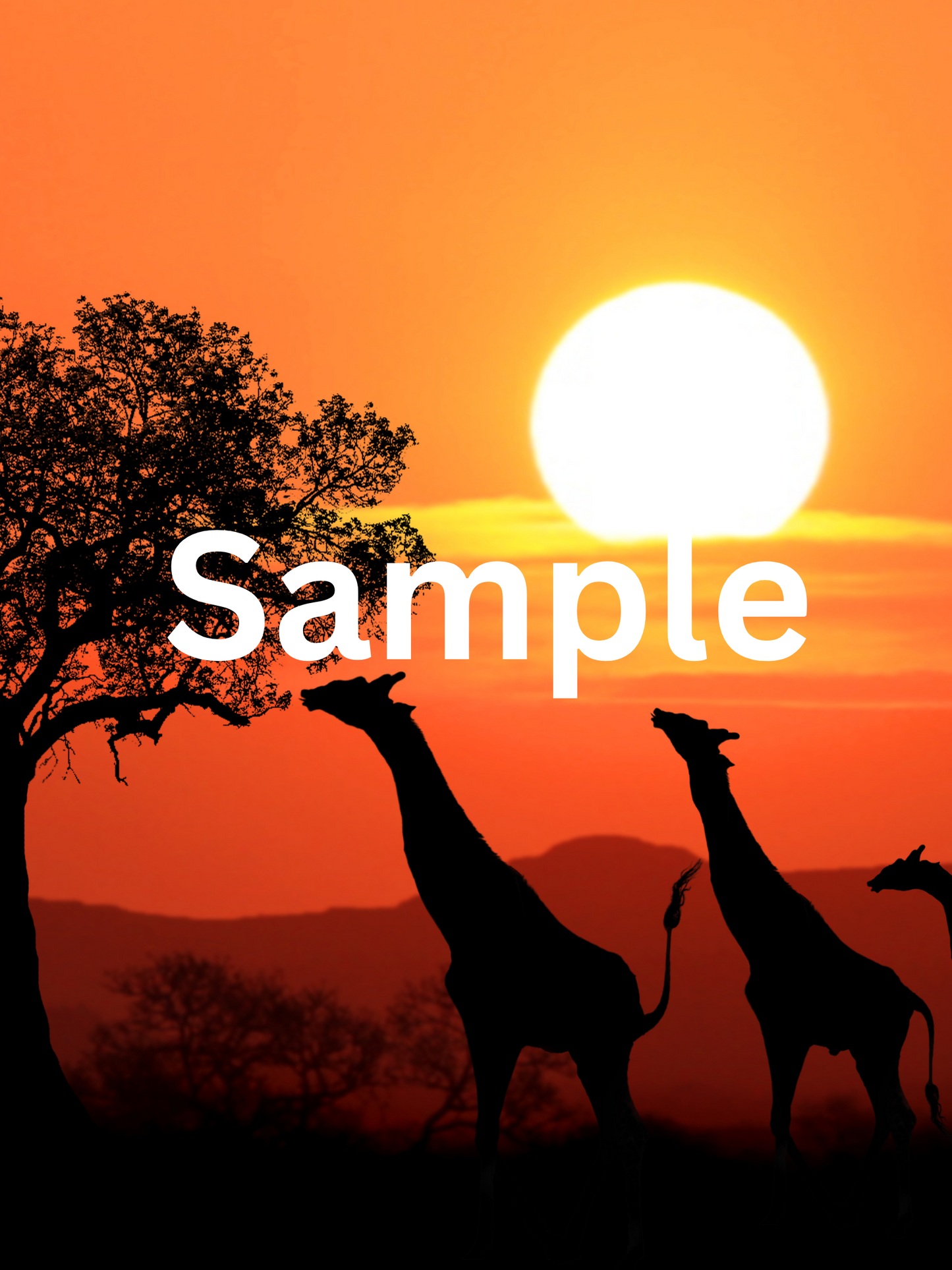Beautiful 18” x 24” African Print Safari with Sunset in the background Framed Art