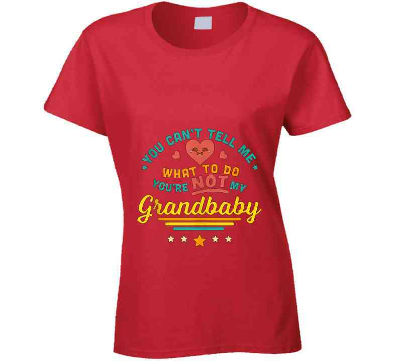 You Can't Tell Me Ladies T Shirt
