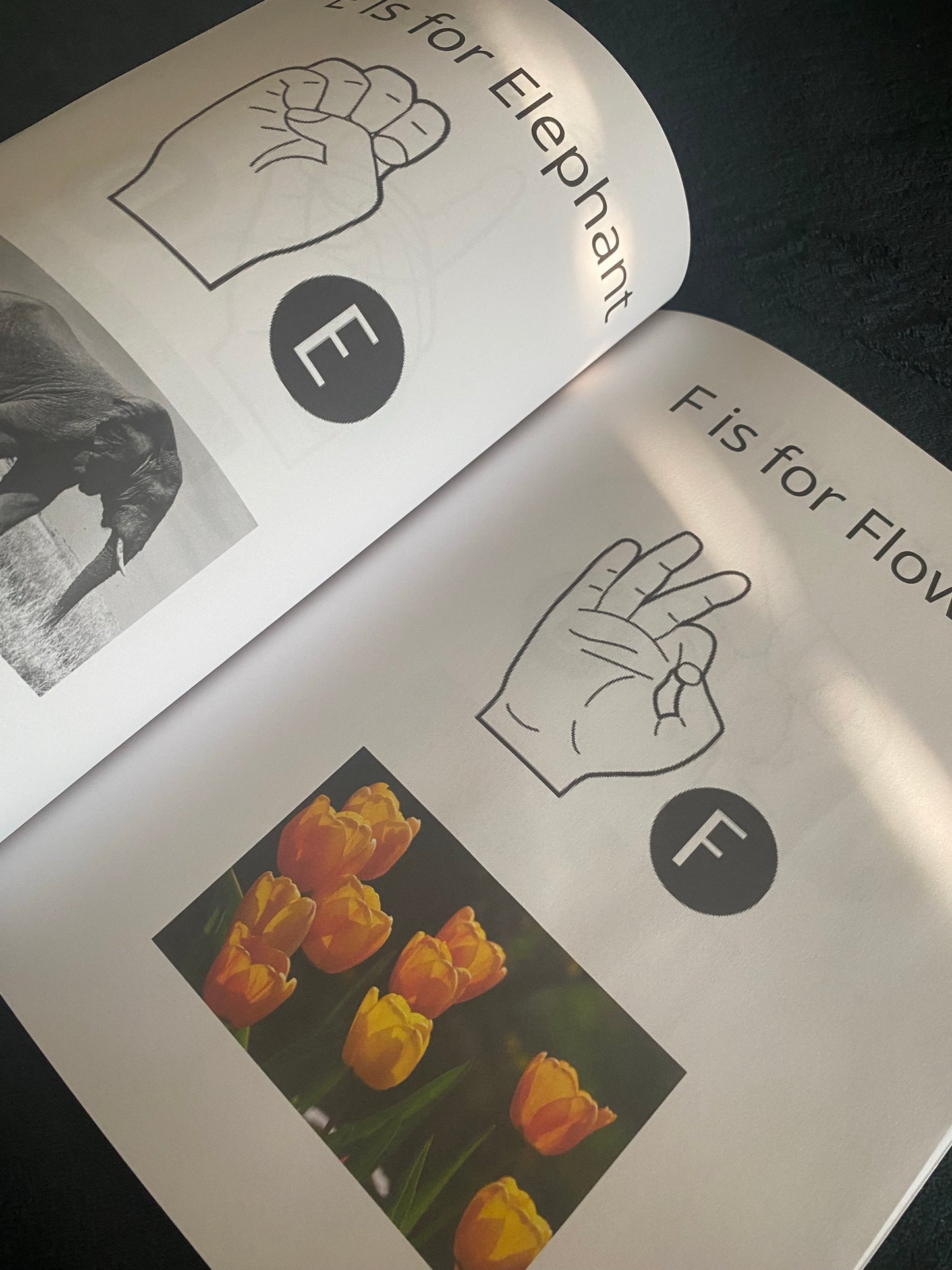 Learn American Sign Language for Children©️