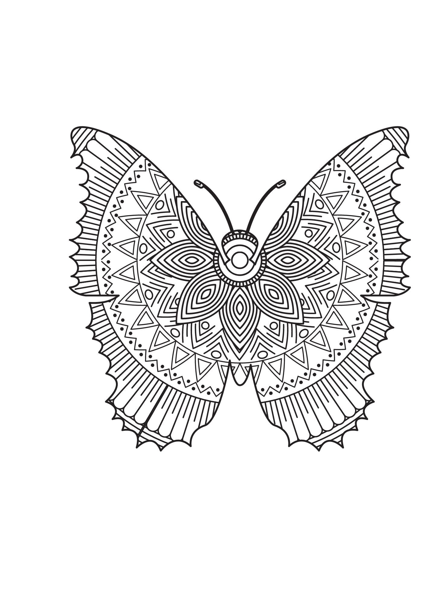 Stress Relief Adult Coloring Book Volume II
