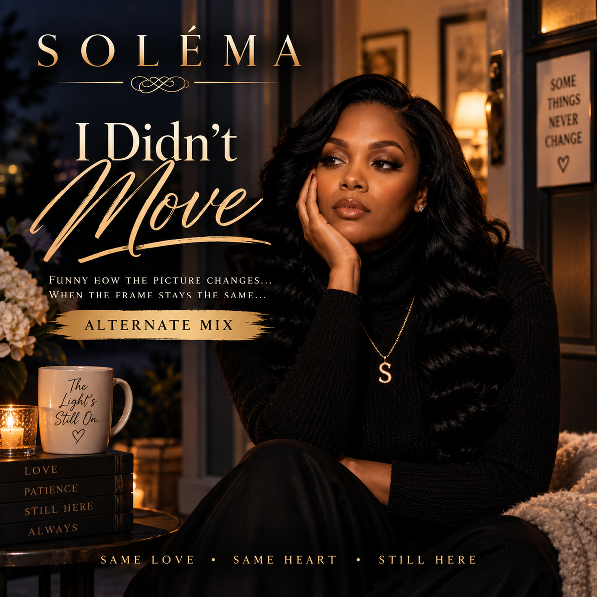 I Didn't Move Alternate Mix - Single by Soléma