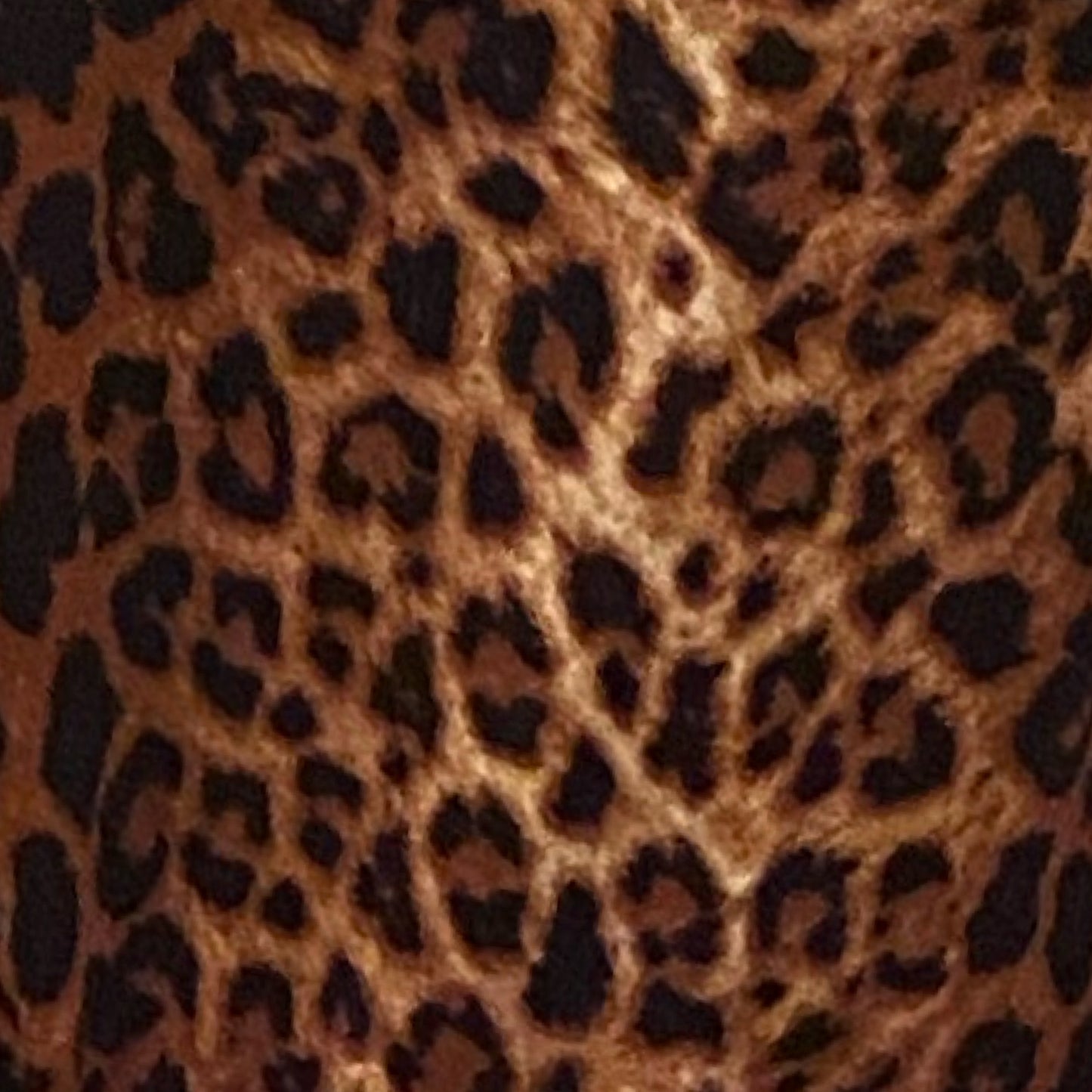 Puff Sleeve Leopard Print Dress, Sizes 1X - 3X (Dark Leopard Print)